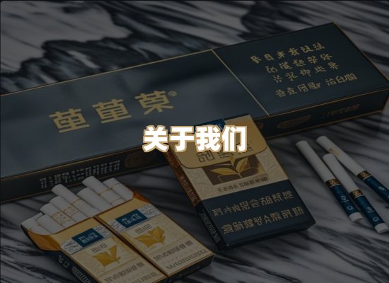 关于逸客网